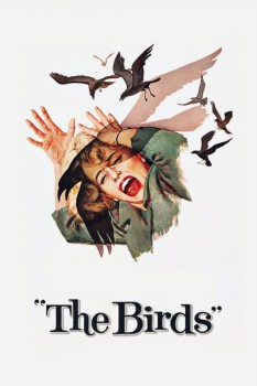 poster The Birds&nbsp;&nbsp;(1963)
